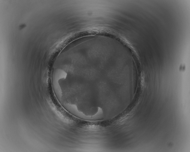 X0000112020637200908031358