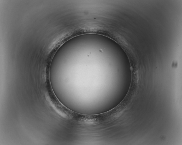 X0000112020638200908031358