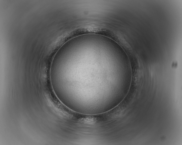 X0000112020639200908031358