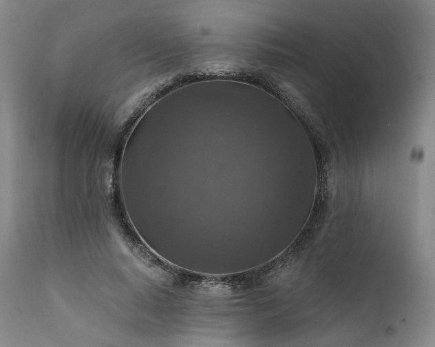 X0000112020640200908031358