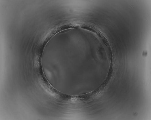 X0000112020641200908031358