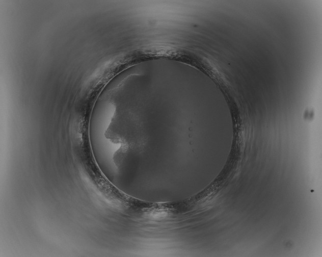 X0000112020643200908031358