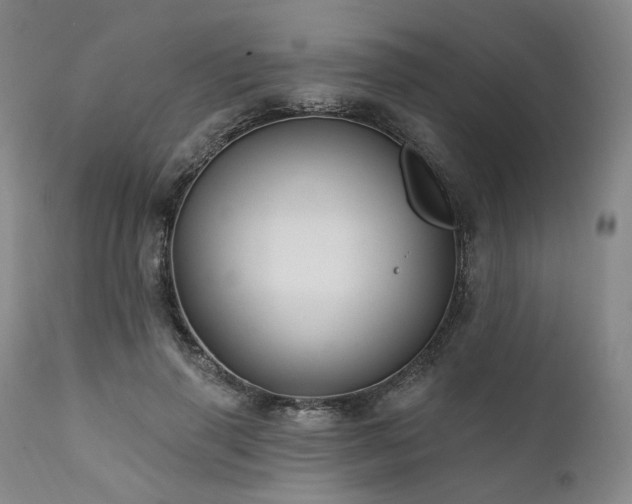 X0000112020645200908031358