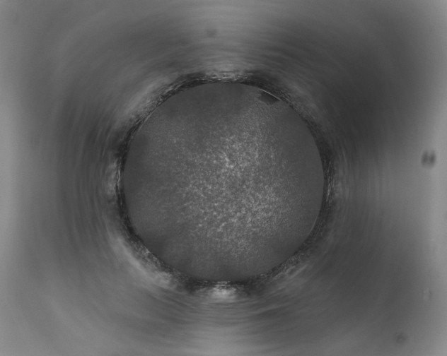 X0000112020647200908031358