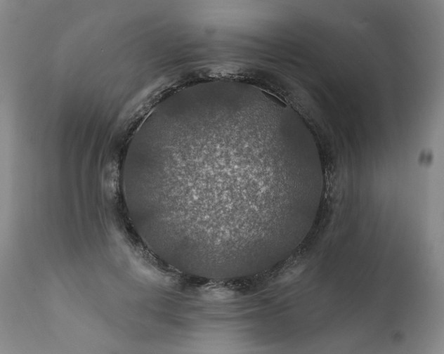 X0000112020648200908031358