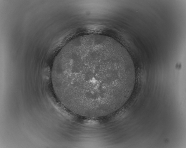 X0000112020649200908031358