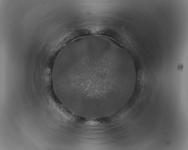 X0000112020650200908031358