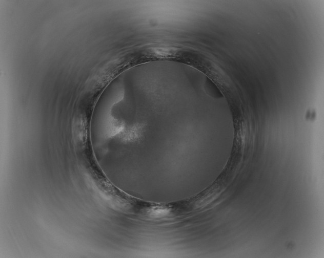 X0000112020651200908031358