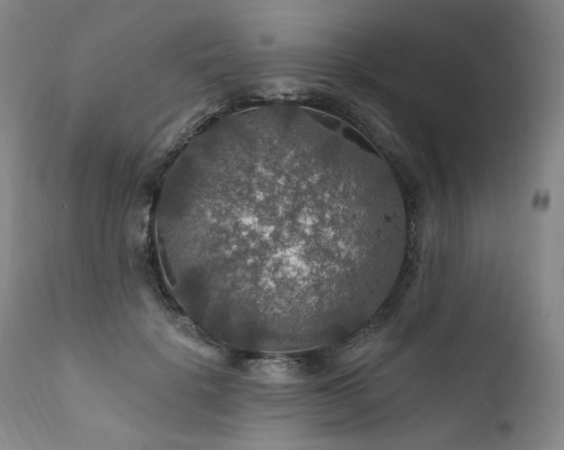 X0000112020652200908031358