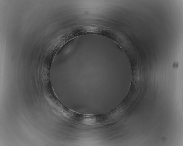 X0000112020653200908031358