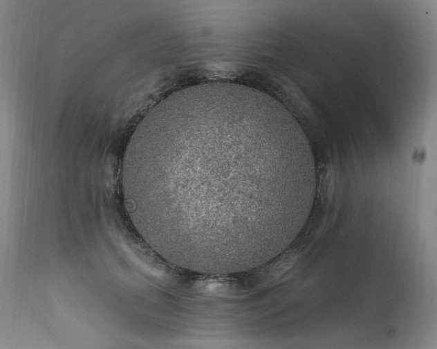 X0000112020655200908031358