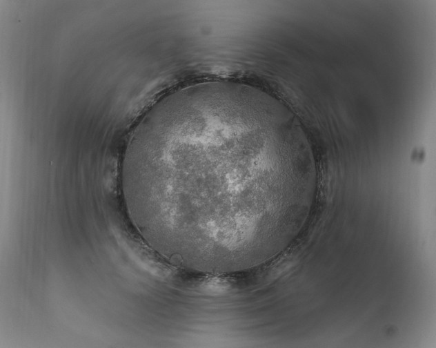 X0000112020656200908031358