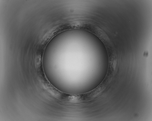 X0000112020660200908031358