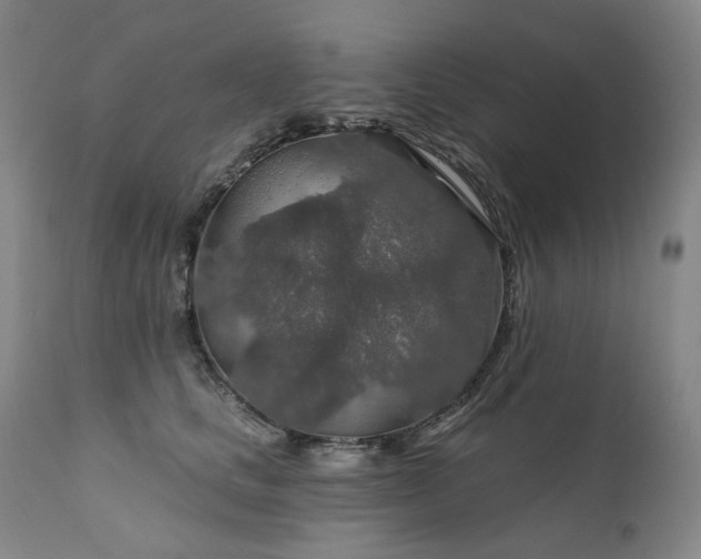 X0000112020661200908031358