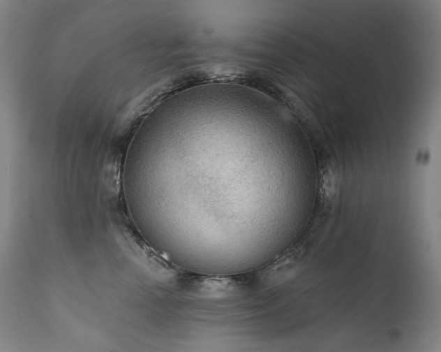 X0000112020666200908031359