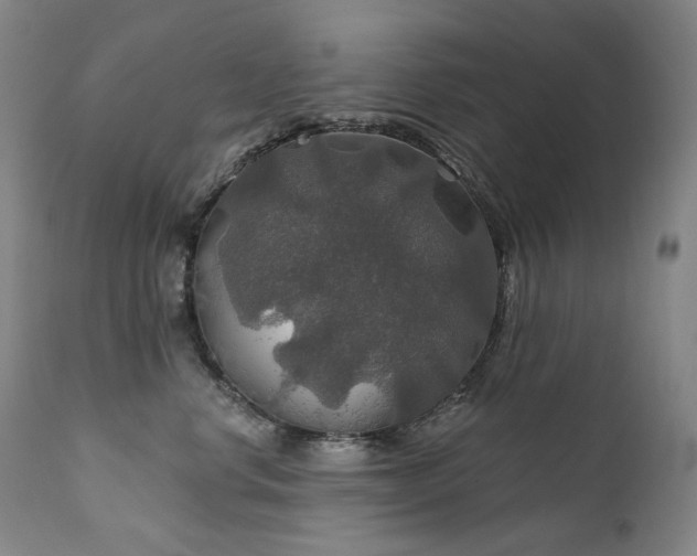 X0000112020668200908031359