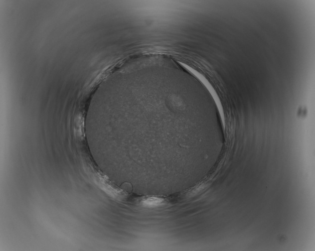 X0000112020669200908031359