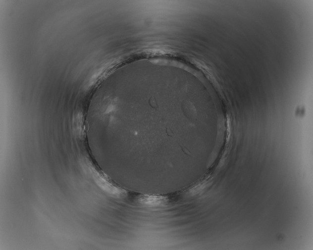 X0000112020670200908031359