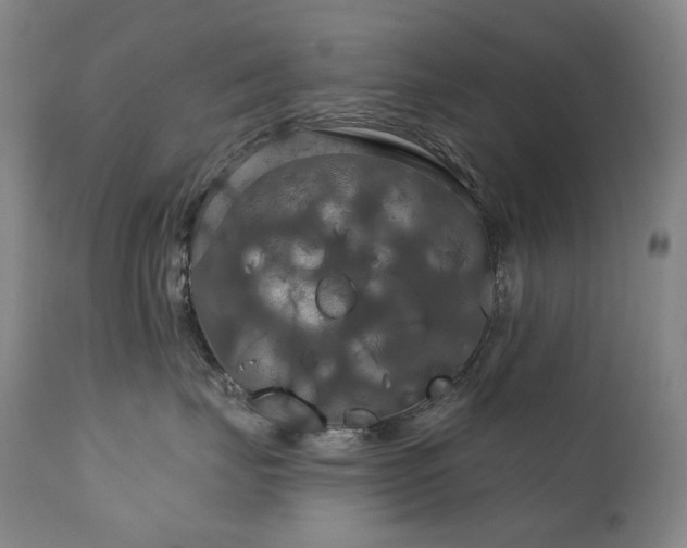 X0000112020671200908031359