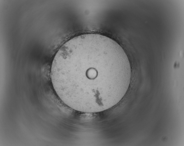 X0000112020672200908031359