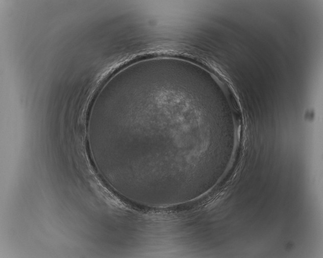 X0000112020673200908031358