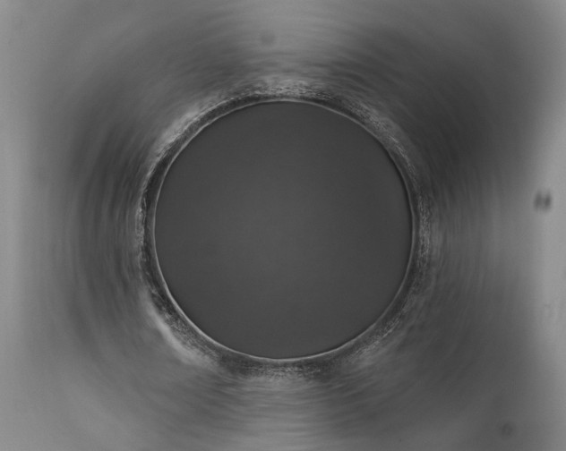 X0000112020674200908031358