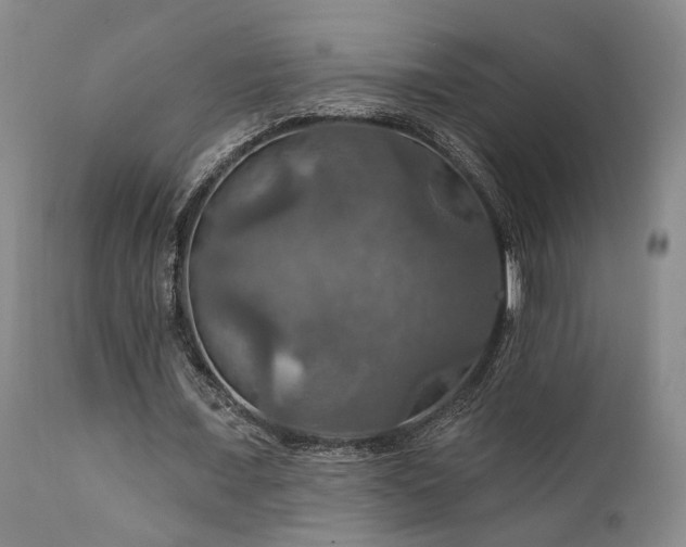 X0000112020675200908031358