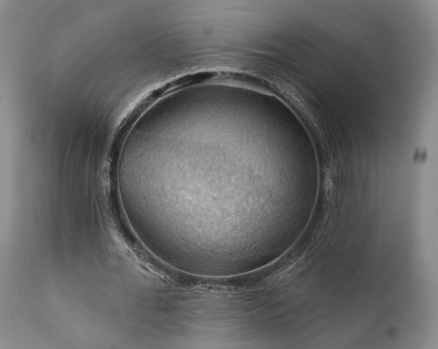 X0000112020676200908031358