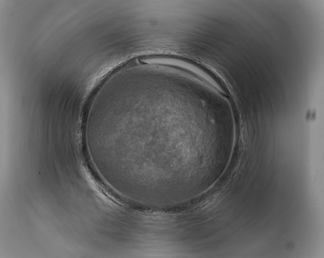 X0000112020677200908031358