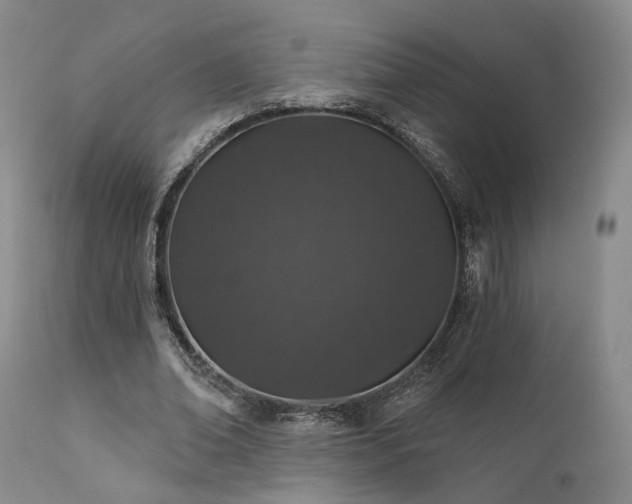 X0000112020678200908031358