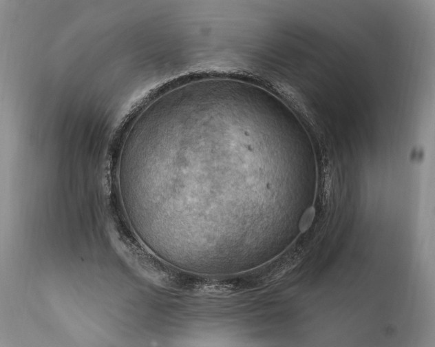 X0000112020680200908031358