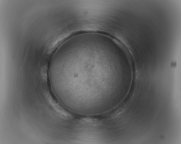 X0000112020681200908031358