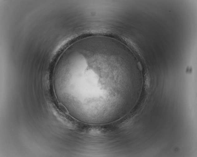 X0000112020684200908031358