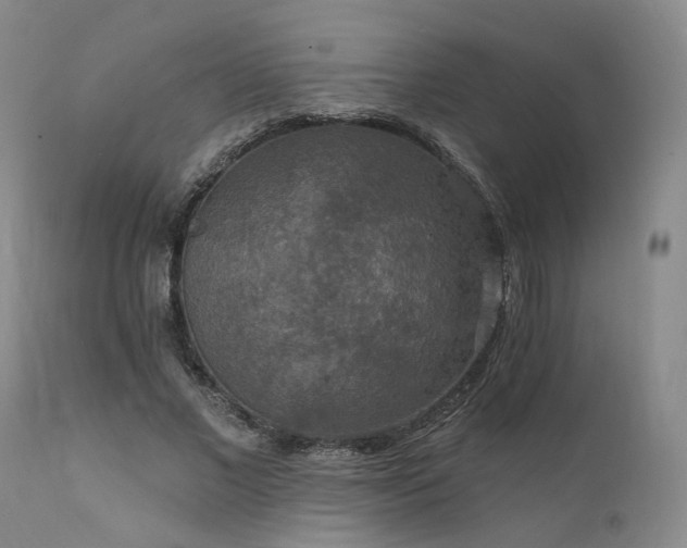 X0000112020685200908031358