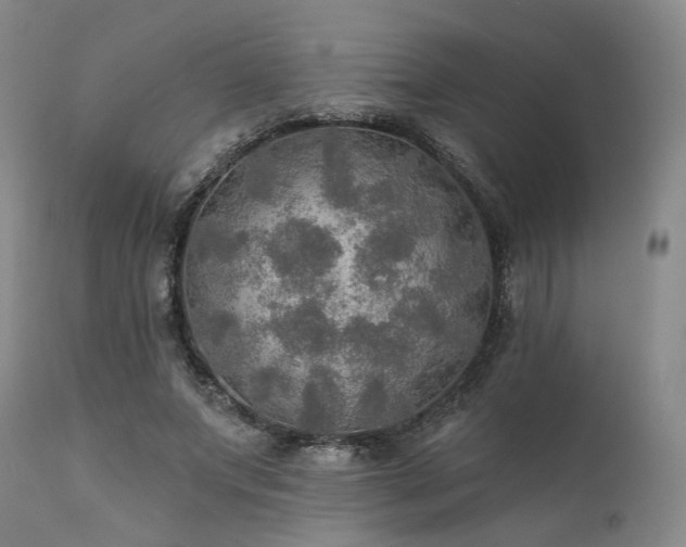 X0000112020687200908031358