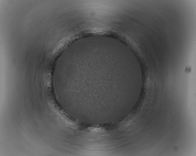 X0000112020689200908031358