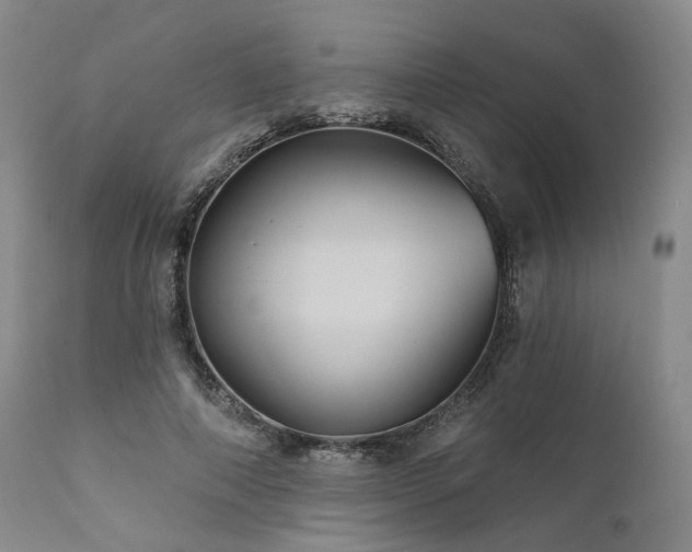 X0000112020690200908031358