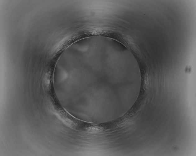 X0000112020691200908031358