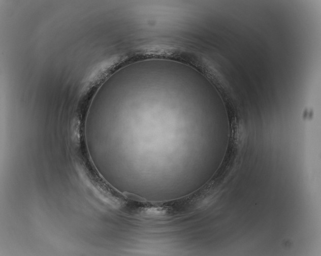 X0000112020692200908031358