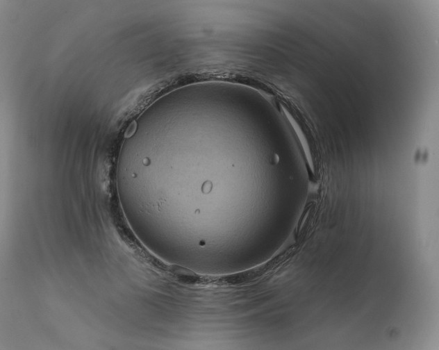 X0000112020693200908031358