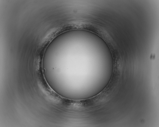 X0000112020694200908031358