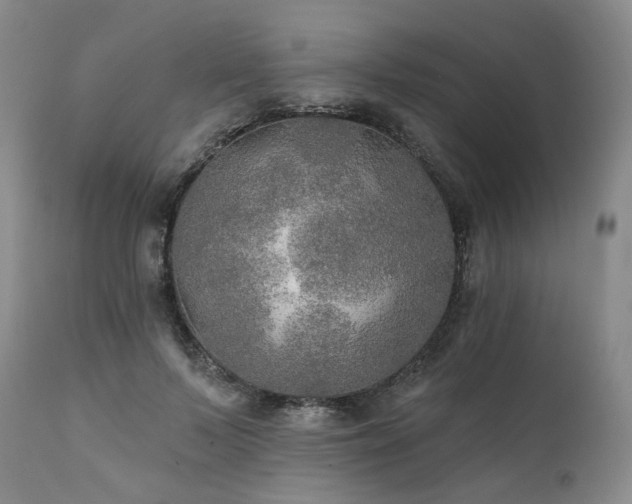 X0000112020695200908031357