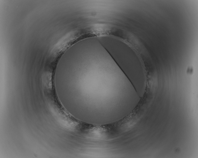 X0000112020696200908031357