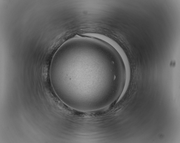 X0000112020697200908031357