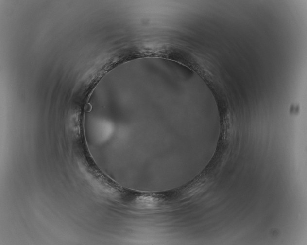 X0000112020699200908031357