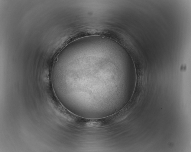 X0000112020700200908031357