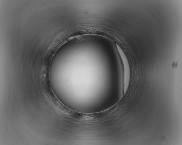 X0000112020701200908031357