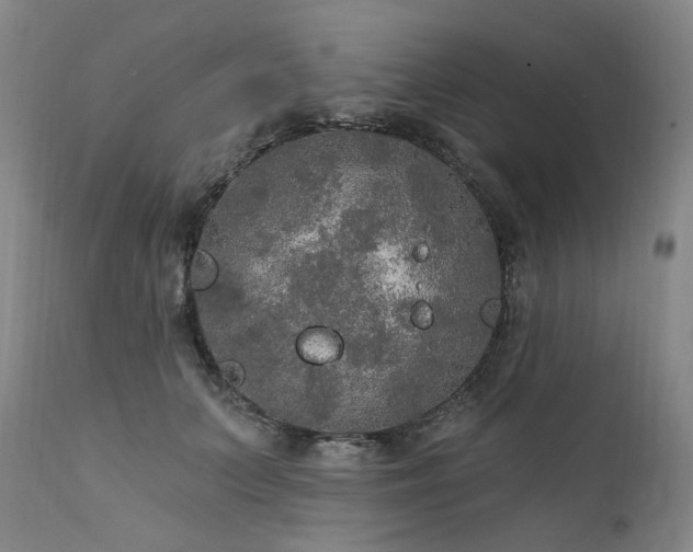 X0000112020703200908031357