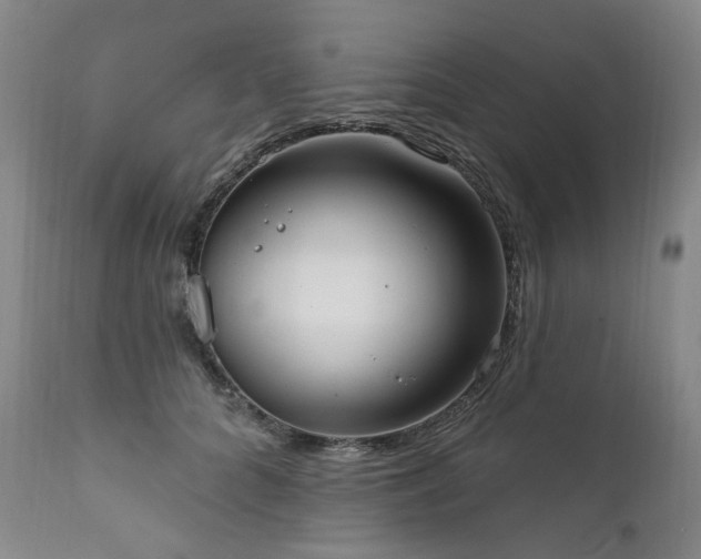 X0000112020704200908031357