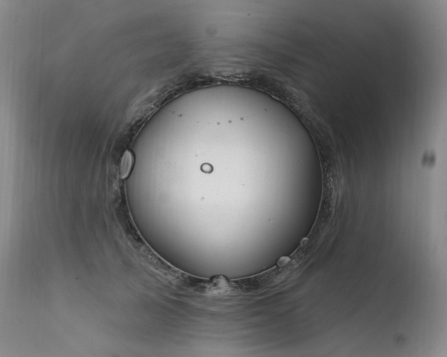 X0000112020705200908031357